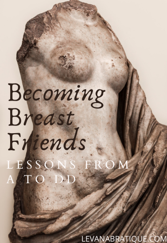 Becoming Breast Friends: Lessons from A to DD